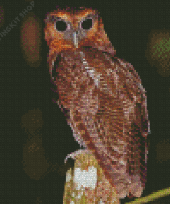 Brown Owl Bird Diamond Painting