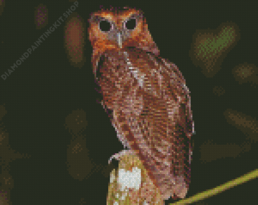 Brown Owl Bird Diamond Painting