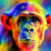 Colorful Monkey Diamond Painting