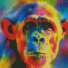 Colorful Monkey Diamond Painting