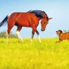 Dogs And Horses Diamond Painting