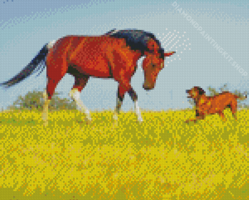 Dogs And Horses Diamond Painting