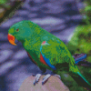 Eclectus Green Bird Diamond Painting