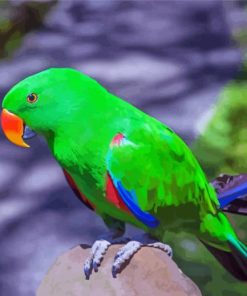 Eclectus Green Bird Diamond Painting