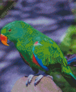 Eclectus Green Bird Diamond Painting