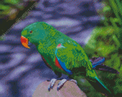 Eclectus Green Bird Diamond Painting