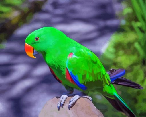 Eclectus Green Bird Diamond Painting