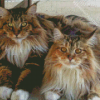 Large Fluffy Cats Diamond Painting