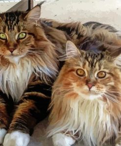 Large Fluffy Cats Diamond Painting