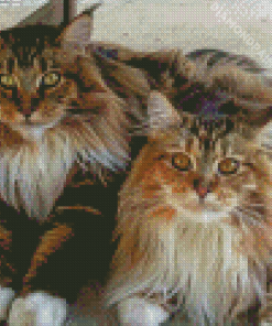 Large Fluffy Cats Diamond Painting