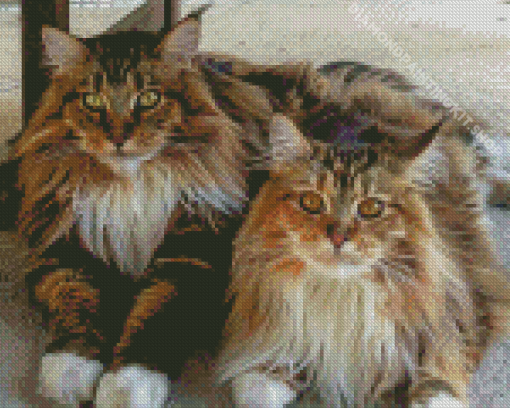 Large Fluffy Cats Diamond Painting