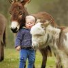 Mini Donkey And Baby Boy Diamond Painting