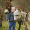 Mini Donkey And Baby Boy Diamond Painting