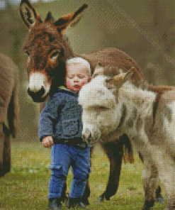 Mini Donkey And Baby Boy Diamond Painting