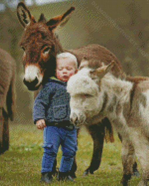 Mini Donkey And Baby Boy Diamond Painting