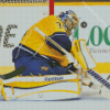 NHL Hockey Nashville Predators Player Diamond Painting