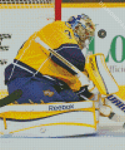 NHL Hockey Nashville Predators Player Diamond Painting