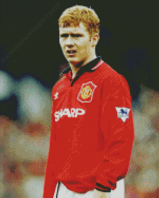 Paul Scholes Art Diamond Painting