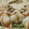 Prairie Dogs Animals Diamond Painting