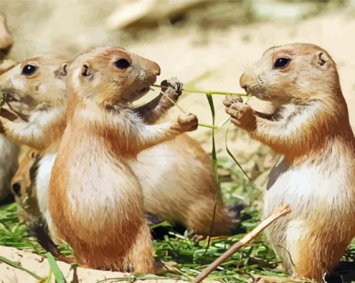 Prairie Dogs Animals Diamond Painting