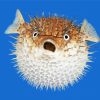 Pufferfish Diamond Painting