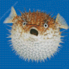 Pufferfish Diamond Painting