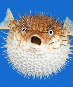 Pufferfish Diamond Painting