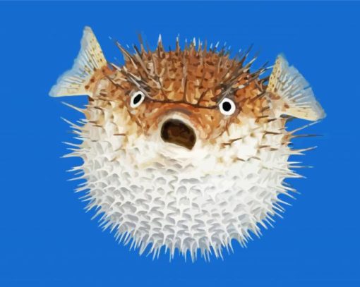 Pufferfish Diamond Painting