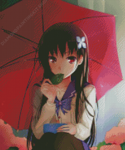 Anime Girl With Red Umbrella Diamond Painting