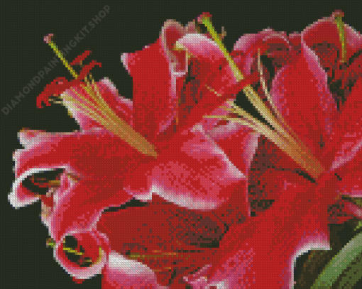 Red Stargazer Lily Flowers Diamond Painting