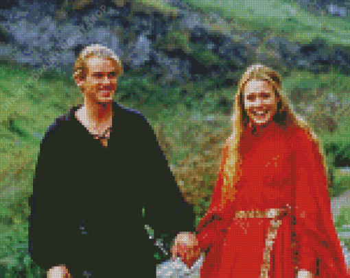 The Princess Bride Diamond Painting