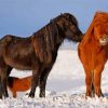 Winter Horses Friends Diamond Painting