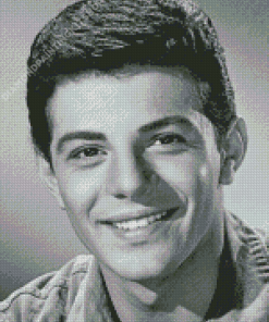 Young Actor Frankie Avalon Diamond Painting