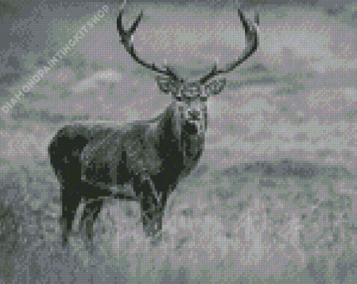 Adorable Black And White Stag Diamond Painting