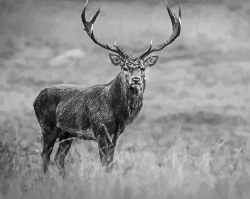 Adorable Black And White Stag Diamond Painting