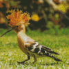 Aesthetic Hoopoe Diamond Painting