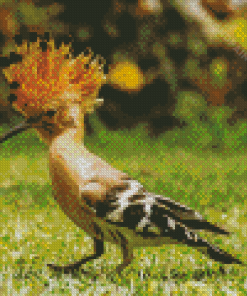 Aesthetic Hoopoe Diamond Painting