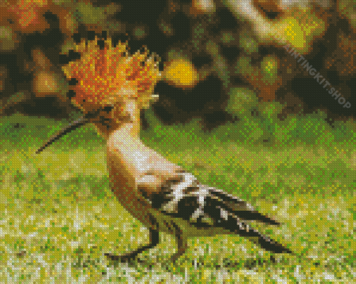 Aesthetic Hoopoe Diamond Painting