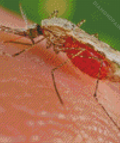 Close Up Marsh Mosquitoes Diamond Painting