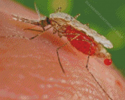 Close Up Marsh Mosquitoes Diamond Painting