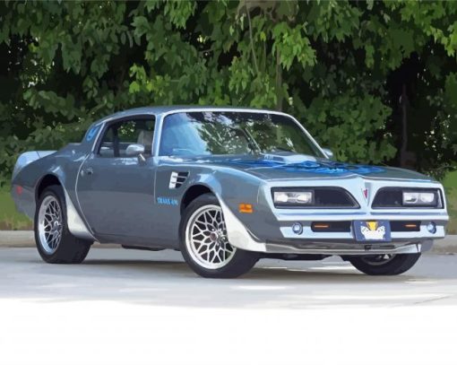 Cool 78 Trans Am Diamond Painting