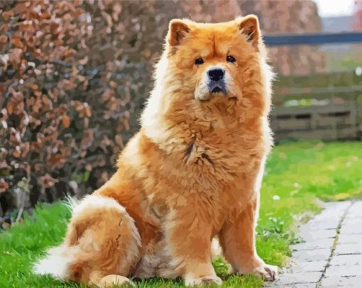 Cute Chow Chow Diamond Painting