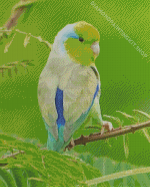 Cute Parrotlet Bird Diamond Painting