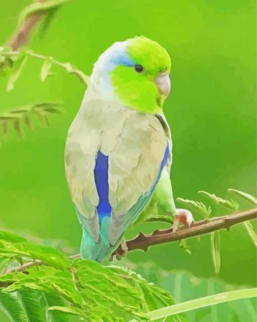 Cute Parrotlet Bird Diamond Painting