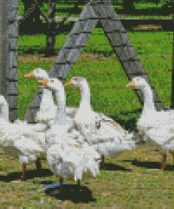 Cute White Geese In The Garden Diamond Painting