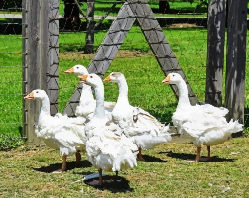 Cute White Geese In The Garden Diamond Painting