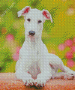 Cute White Greyhound Dog Diamond Painting