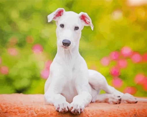 Cute White Greyhound Dog Diamond Painting