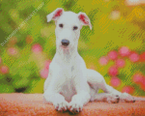 Cute White Greyhound Dog Diamond Painting