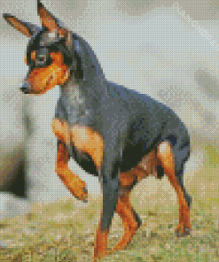 Doberman Pinscher Pet Diamond Painting